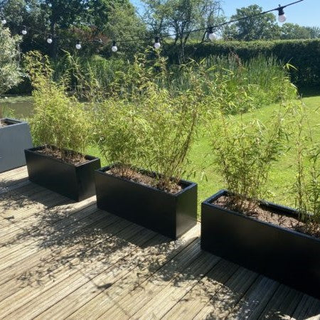 Coloured Steel Arden Trough Planter