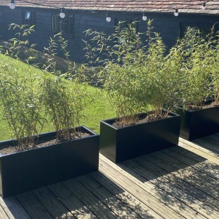 Coloured Steel Arden Trough Planter