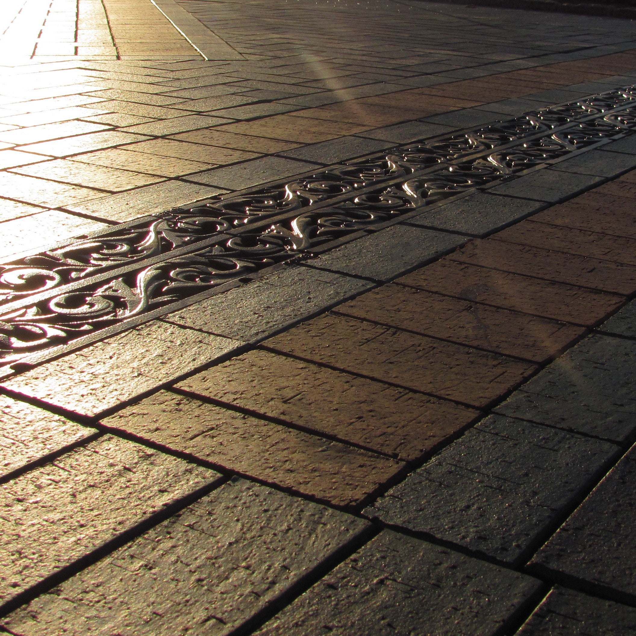 Acanthus Cast Iron Channel Drain Grate 498 x 223mm (20 x 9 Inch)