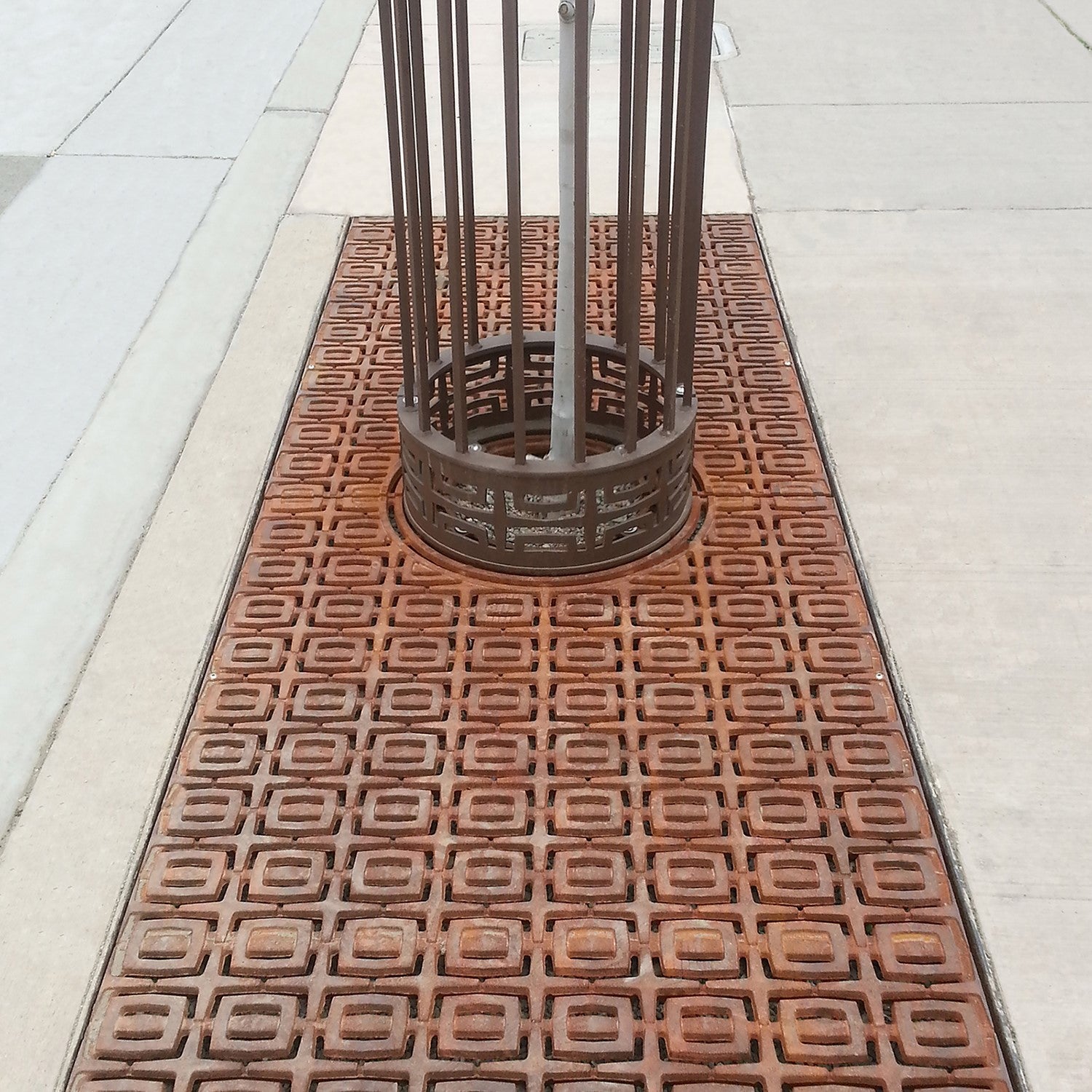 Carbochon Steel Tree Guard 1524 x 457mm (60 Inch)