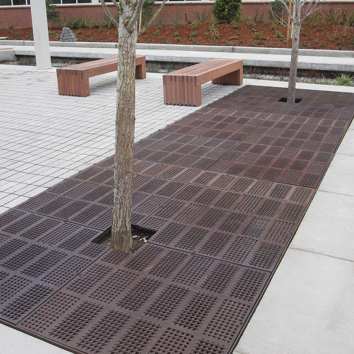 Explora Cast Iron Square Tree Grate 1827mm (72 Inch)