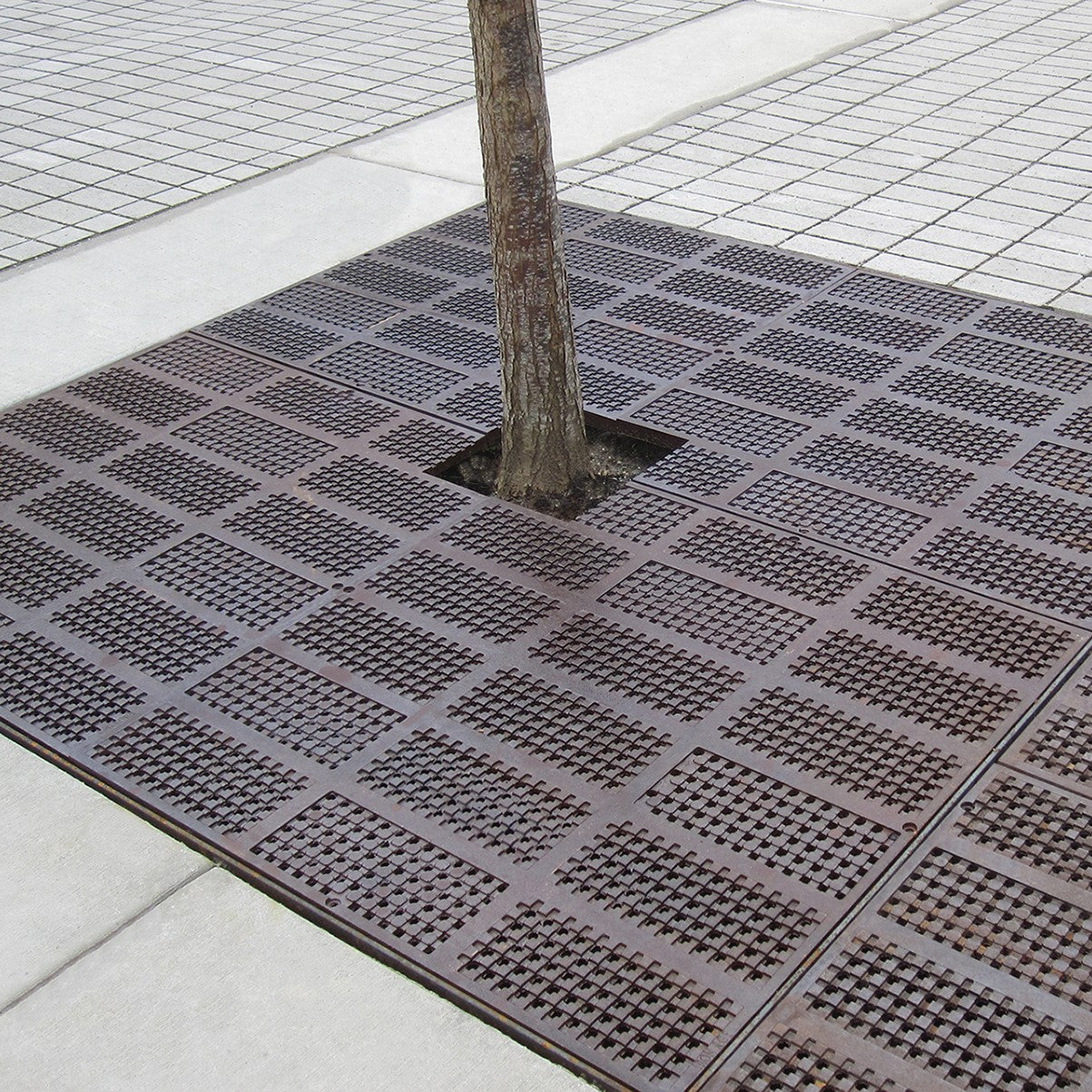 Explora Cast Iron Square Tree Grate 1827mm (72 Inch)