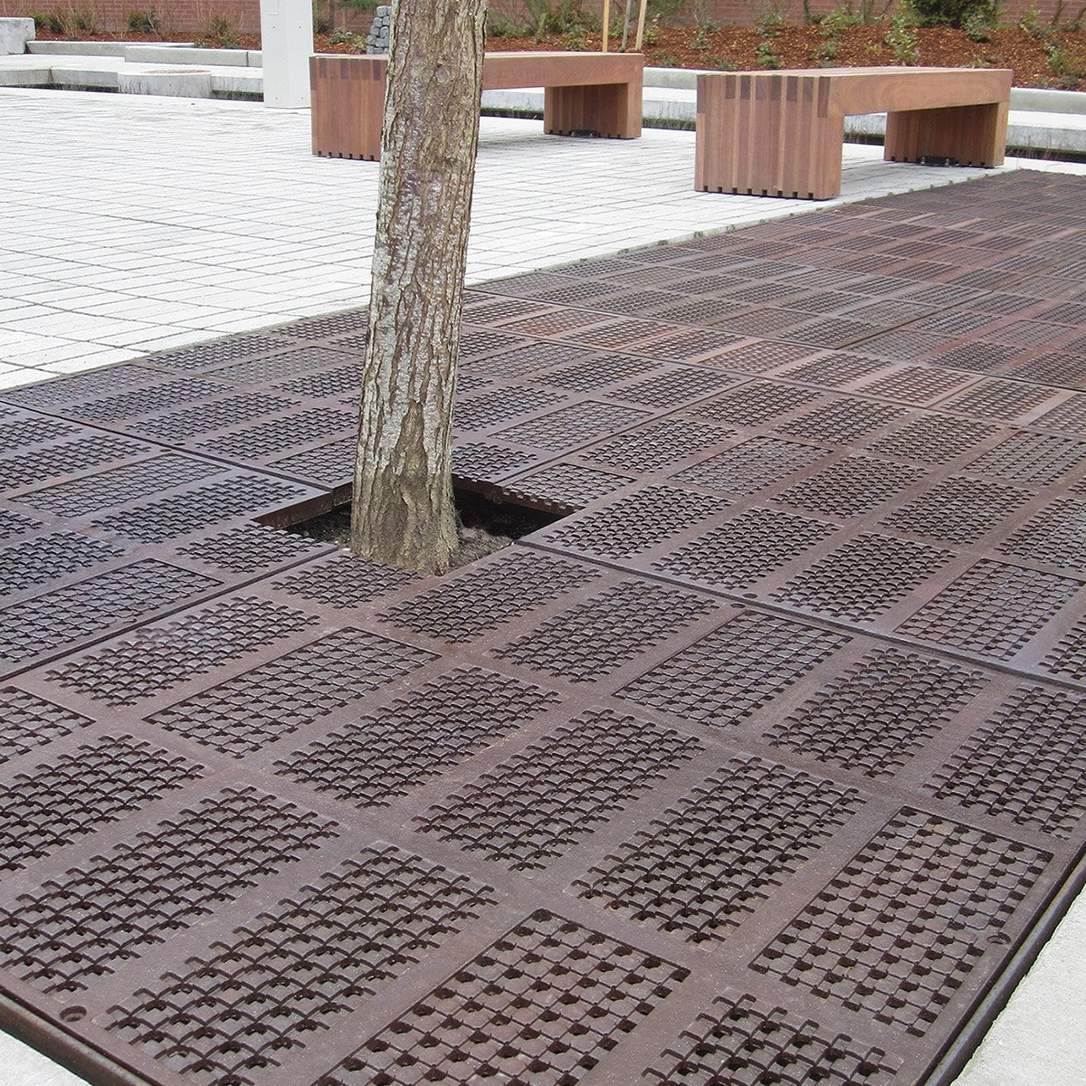 Explora Cast Iron Square Tree Grate 1827mm (72 Inch)