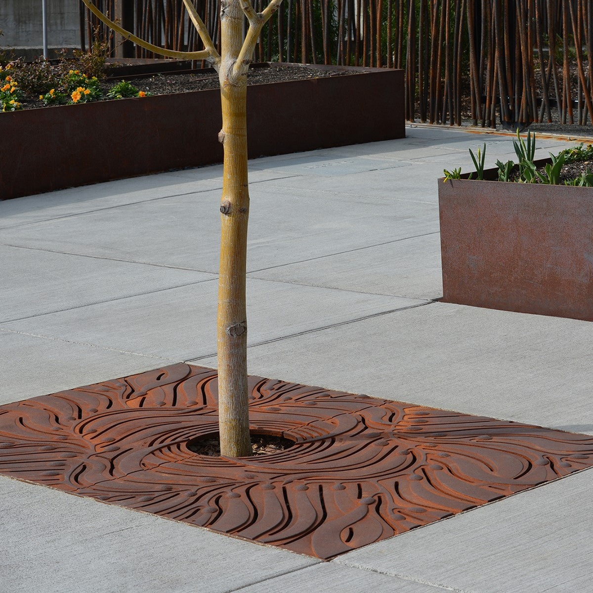 Kelp Cast Ductile Iron Tree Grate 1826 x 1216mm (72 x 48 Inch)