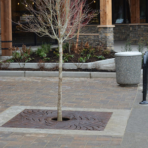 Kelp Cast Iron Square Tree Grate 1524mm (60 Inch)
