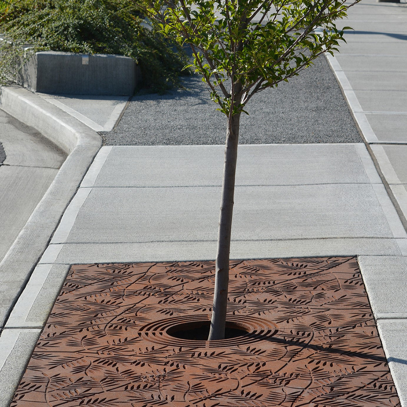 Locust Cast Iron Tree Grate 2438 x 1219mm Heel Proof (96 x 48 Inch)