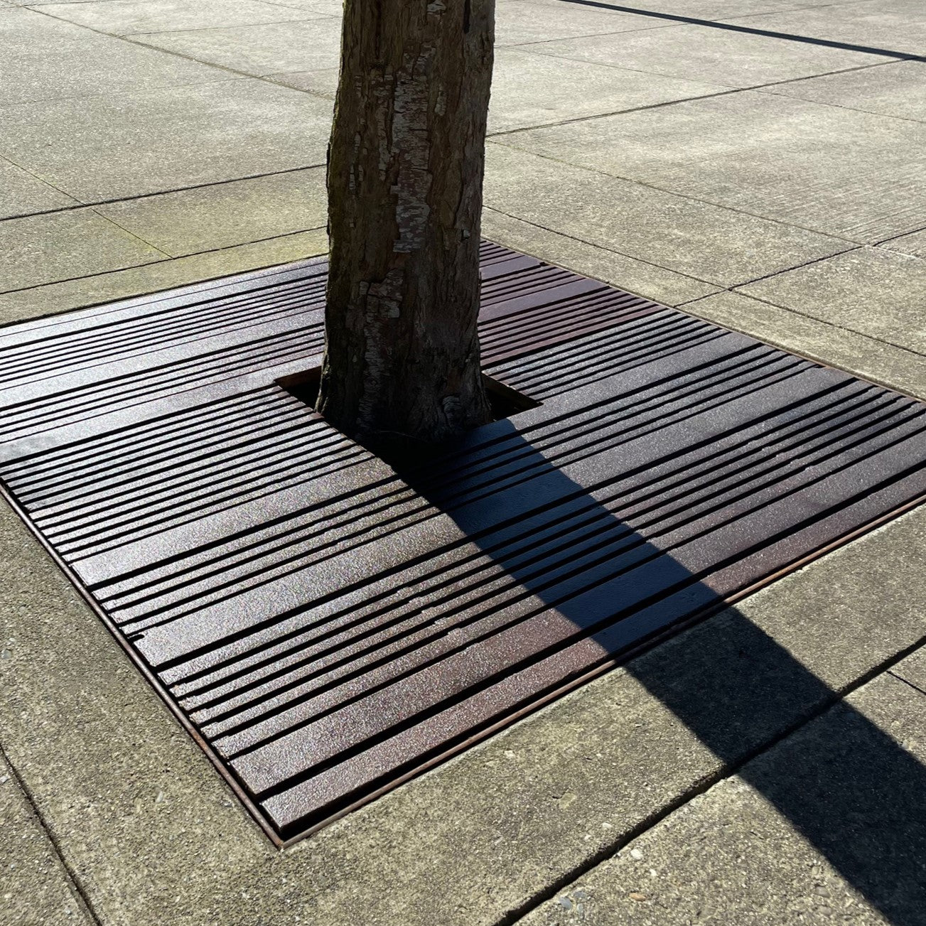 Madras Cast Iron Square Tree Grate 1215mm Heel Proof (48 Inch)