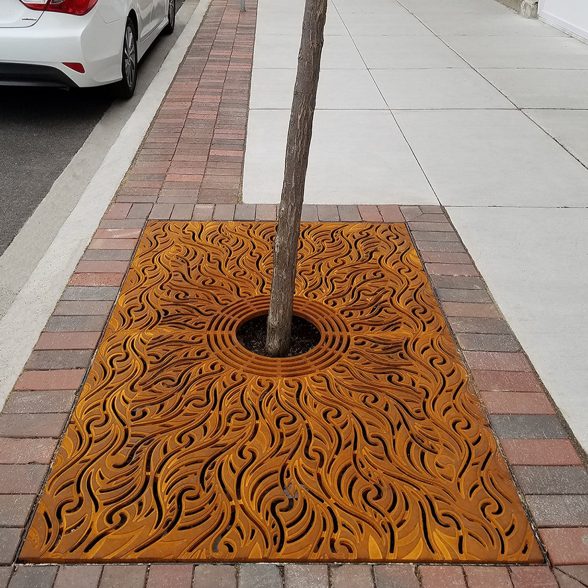 Minnione Cast Iron Tree Grate 1826 x 1216mm (72 x 48 Inch)