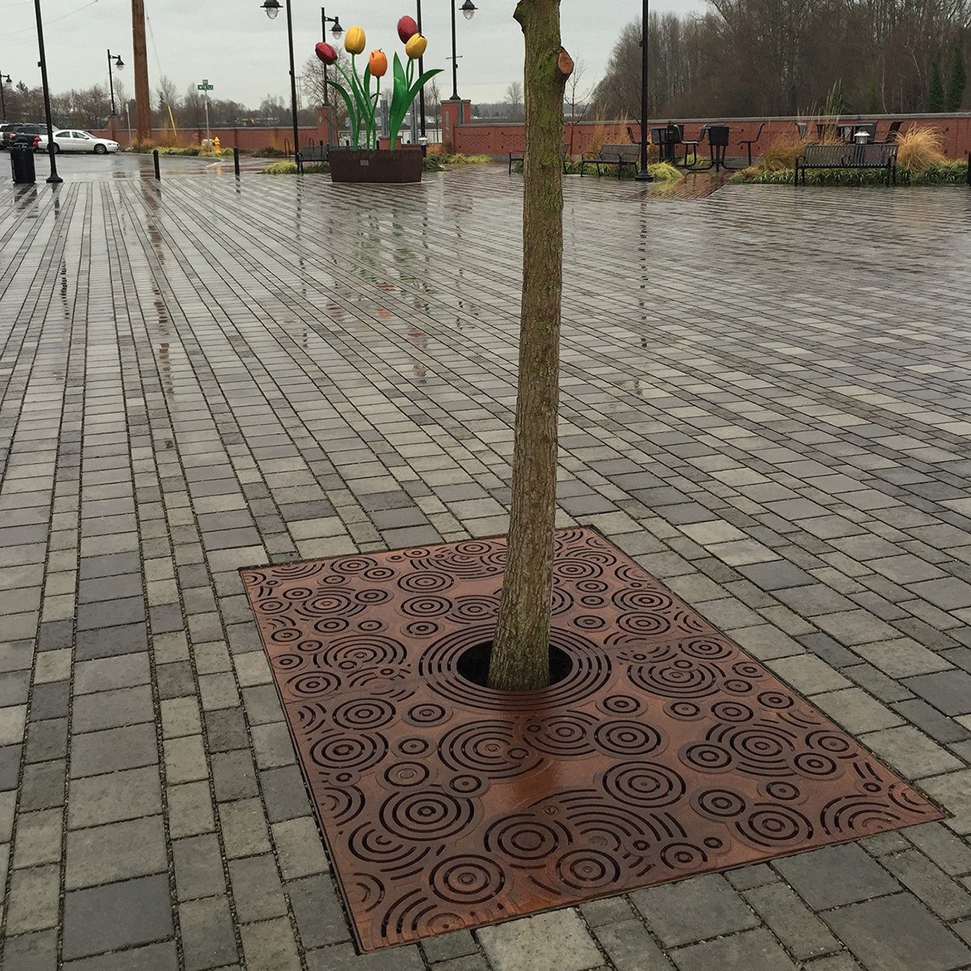 Oblio Cast Iron Tree Grate 1825 x 1215mm Heel Proof (72 x 48 Inch)