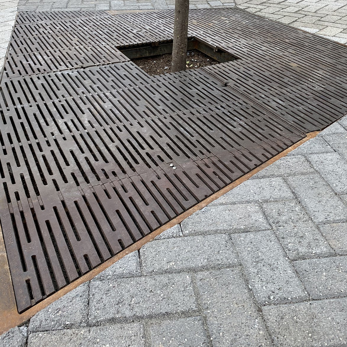 Rain Cast Ductile Iron Square Tree Grate 1826mm Heel Proof (72 Inch)