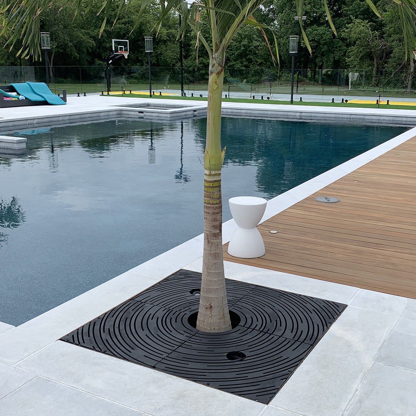 Spin Cast Ductile Iron Square Tree Grate 1216mm Heel Proof (48 Inch)