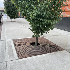 Spin Cast Ductile Iron Square Tree Grate 1216mm Heel Proof (48 Inch)