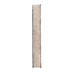 Aquascape Stainless Steel Recessed Channel Drain Grate With Channel (5 Inch)